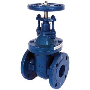 TGL 65mm Gate Valve PN16 Cast Iron 235