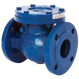 TGL 65mm Check Valve PN16 Cast Iron 170