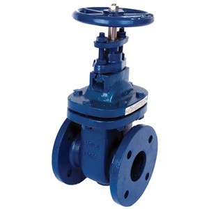 TGL 2.1/2" Gate Valve T/E Cast Iron 210