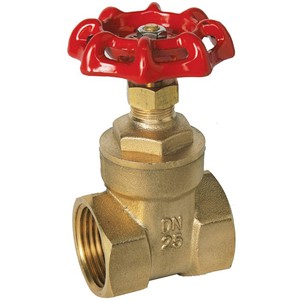 TGL 3/4" Gate Valve PN20 W/H Brass 610